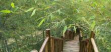 竹尖玻璃栈道2