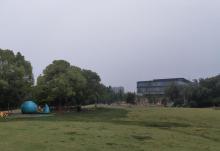 龙山公园4
