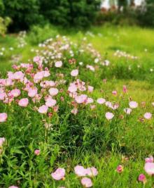 江南花伴湾15