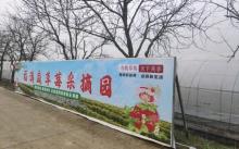福满庭草莓采摘园1