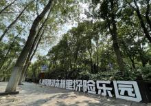 树间跳动森林里探险乐园5