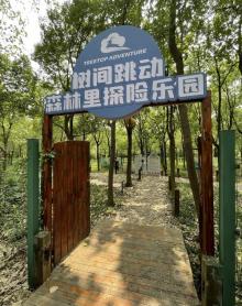 树间跳动森林里探险乐园1