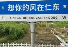 下一站农场仁东11