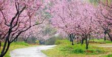 太湖桃花岛5