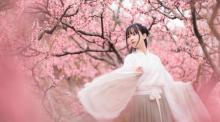 太湖桃花岛15