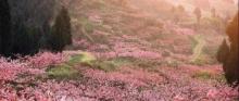 太湖桃花岛12