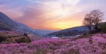 太湖桃花岛18