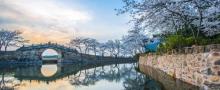 太湖桃花岛4