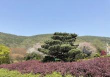西山地质博物馆2