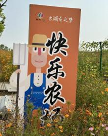 龙之梦快乐农场2