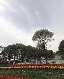 太湖花海主题度假乐园27
