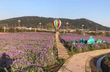 太湖花海主题度假乐园25