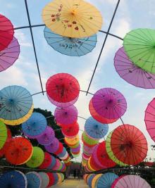 太湖花海主题度假乐园11