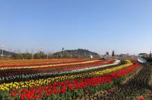 太湖花海主题度假乐园24
