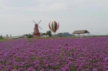 太湖花海主题度假乐园17