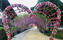 太湖花海主题度假乐园13