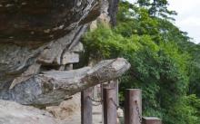 虎啸八景7