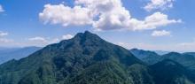 庆元县巾子峰国家森林公园1