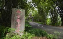 御茶园遗址5