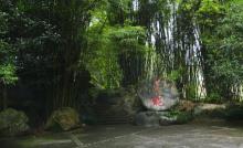 御茶园遗址2