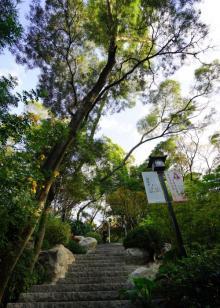 屏山公园6