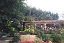 屏山公园11