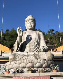 卧龙山景区2
