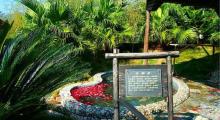 大明谷温泉村2