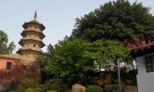 乌塔8
