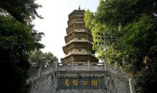 乌塔11