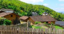 梅树底风景区5