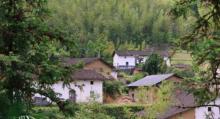 梅树底风景区4