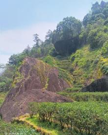武夷山牛栏坑2
