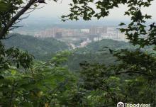 上饶云碧峰森林公园4