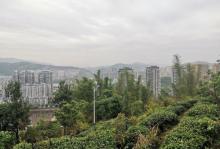 塔山公园4