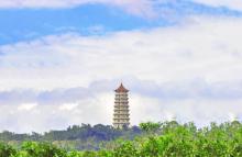 塔山公园1