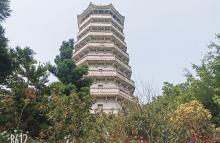 塔山公园7
