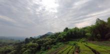 天烛湖仙境景区10