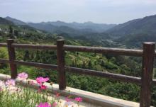 坡山村9