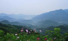 坡山村10