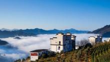 坡山村26