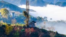 坡山村23