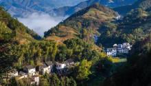 坡山村25