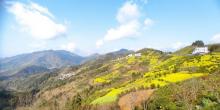 坡山村6