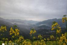 坡山村16