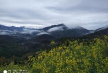 坡山村18