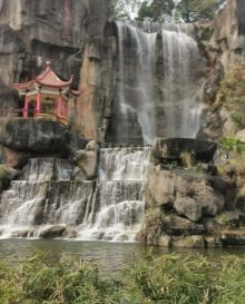 金鸡山公园23