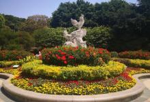 金鸡山公园12