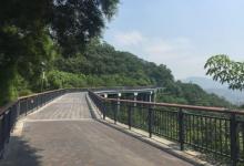 金鸡山公园19