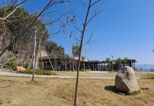 金鸡山公园6